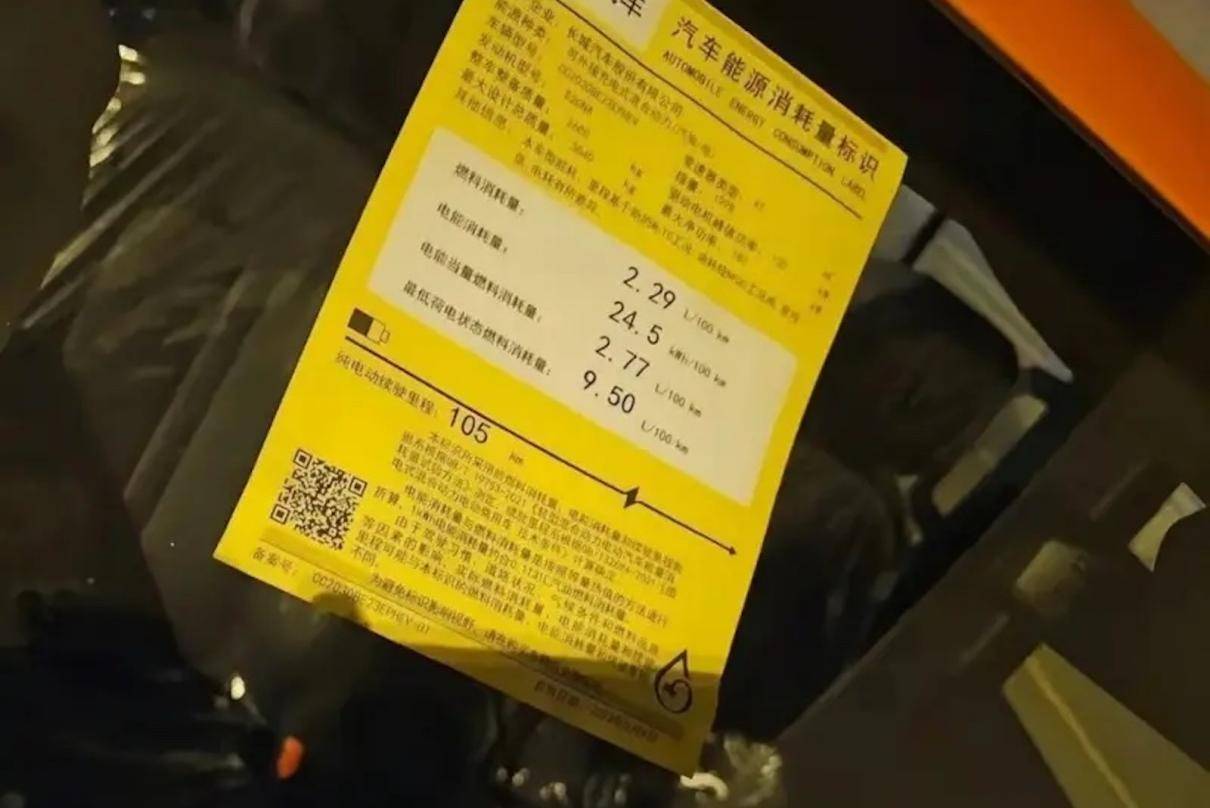 天博：全新坦克Hi4-T要来了配20T插混动力油耗降低能成爆款吗？(图6)