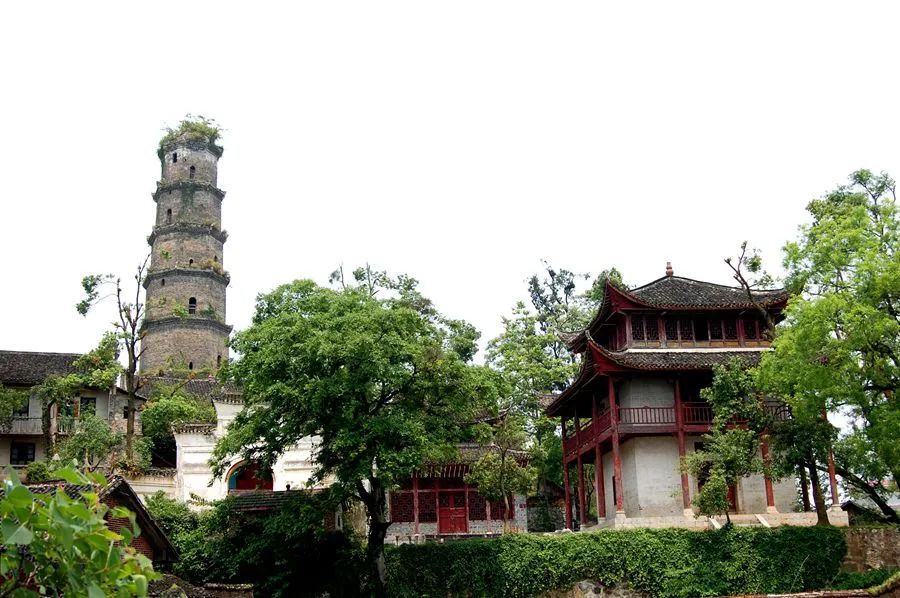 超详参观攻略来啦！箱包人咱们蓝山见～(图5)