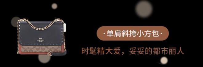 天博：嘘…不到千元拿下COACH经典款！(图27)