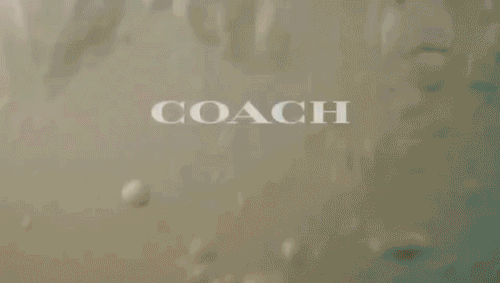 天博：嘘…不到千元拿下COACH经典款！(图17)