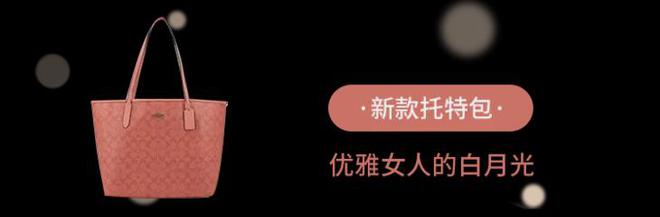 天博：嘘…不到千元拿下COACH经典款！(图43)