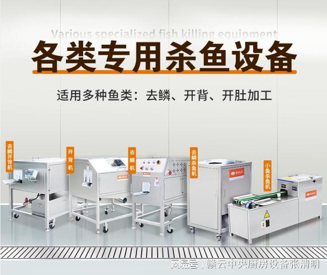 淡水鱼自动化深加工设备鱼丸加工生产线