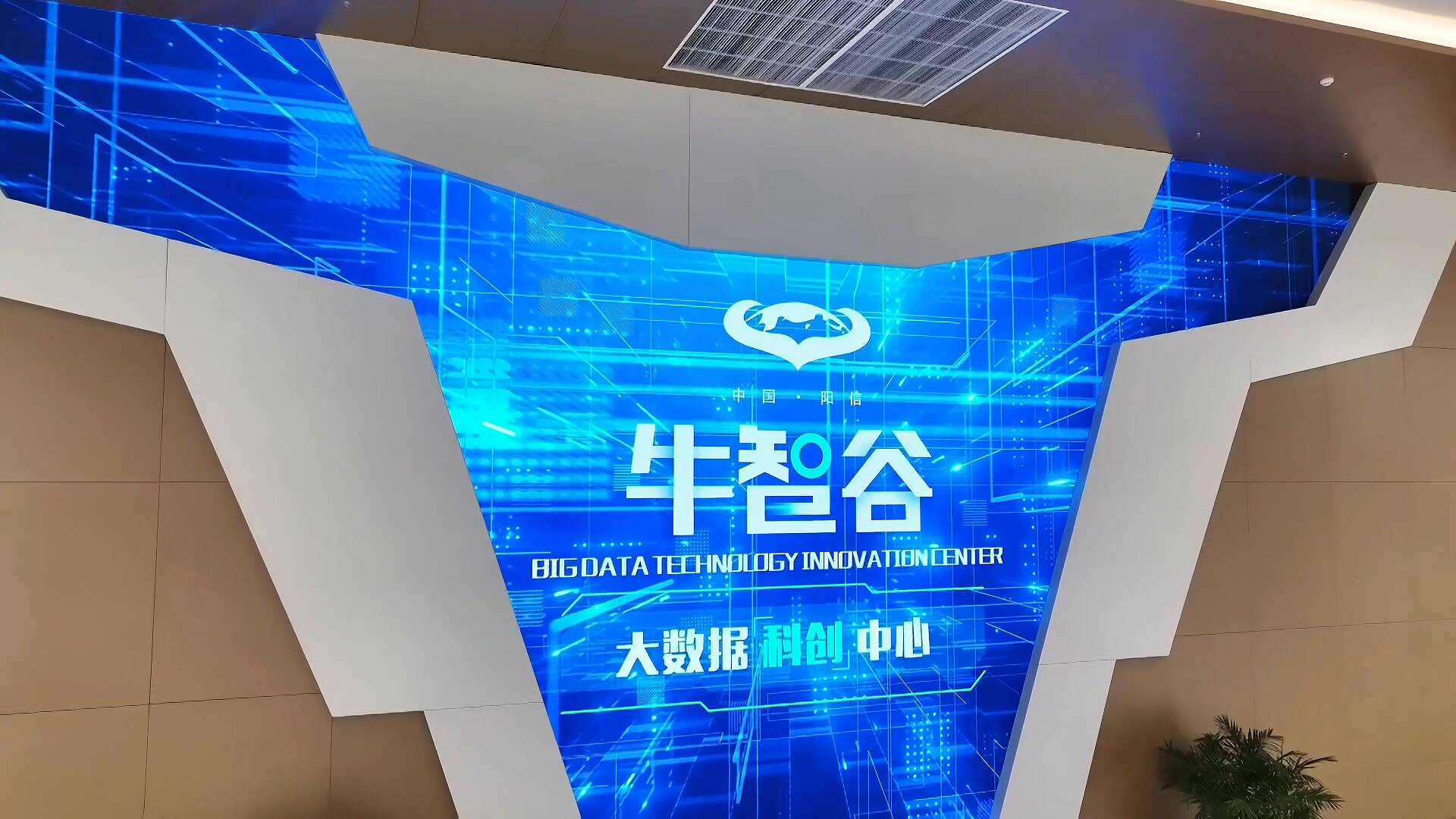 阳信：打造全国首个5G牧场 牛副产品销往全国各地(图3)