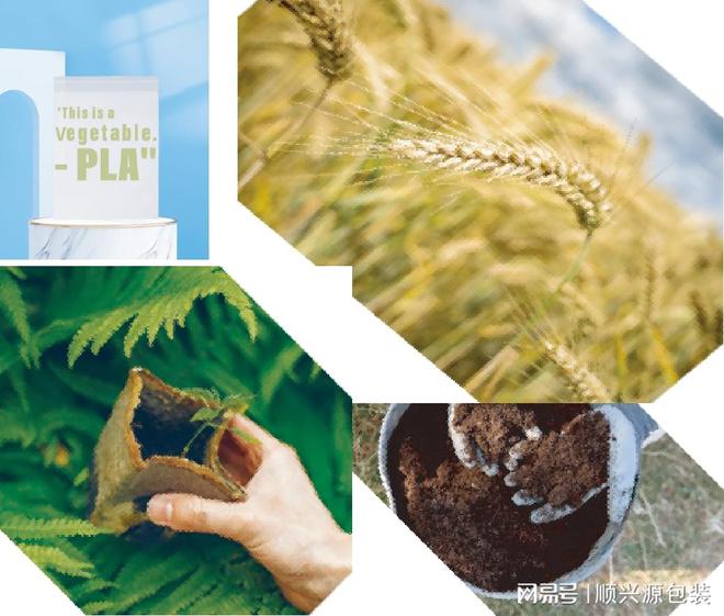 环保包装袋：可回收胶袋、纸袋、生物降解袋生产工厂(图5)