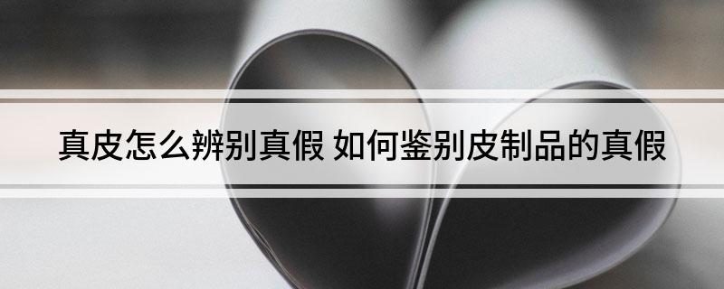 真皮怎么辨别真假 如何鉴别皮制品的真假(图1)