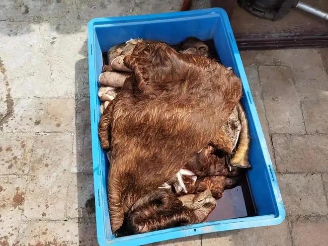 农村集市上20元一根现割“牛皮带”究竟是真材实料还是弄虚作假(图6)