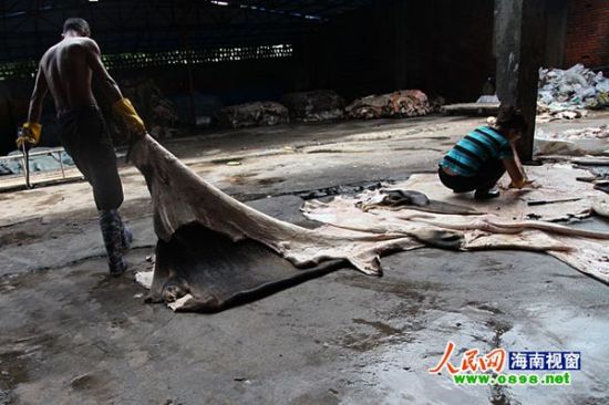 转鼓的注音 转鼓的注音是什么(图1)