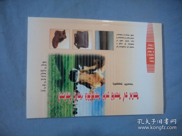 从百年包子到出口31个国家和地区：阳信如何让一头牛“值”出新高度？(图1)